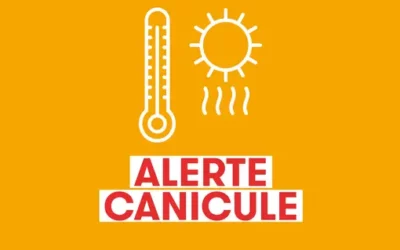 VIGILANCE CANICULE ET FEUX DE FORÊT